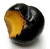 BYTE